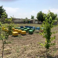 فروش و تهاتر مزرعه ۱۲۳۵۰ متری بدون مشابه|فروش زمین و ملک کلنگی|کرج, فاز ۱ مهرشهر|دیوار