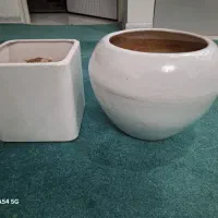 گلدان|گل و گیاه طبیعی|تهران, کیانشهر|دیوار