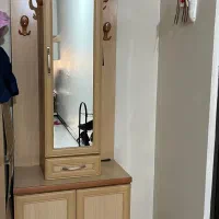 جاکفشی با ایینه