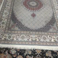 فرش شش متری دستباف|فرش|بیرجند, |دیوار