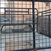 باربند وانت