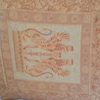 موکت|موکت|قوچان, |دیوار