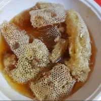 عسل کوهی استان فارس اصل برای خواص درمانی|خوردنی و آشامیدنی|شاهینشهر, مخابرات (شهید بهشتی)|دیوار