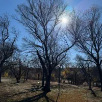 مغازه-اجاره