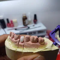 نیازمند یک شریک برای قسمت پرسلن|استخدام درمانی، زیبایی، بهداشتی|اصفهان, لاله|دیوار