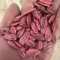 بذر افتابگردان اس۴۰۰  ترکیه