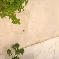 خونه حیاطدار|فروش خانه و ویلا|پاکدشت, حصار امیر|دیوار