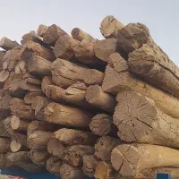 خرید چوب|خدمات باغبانی و درختکاری|اراک, |دیوار