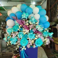 گلکده|گل و گیاه طبیعی|قائم‌شهر, |دیوار