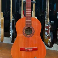 نوین گیتار شاپ