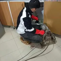 لوله بازکنی سراسرکرج مطمئن فنرزن فنرزدن چاه تضمینی|خدمات پیشه و مهارت|کرج, عظیمیه|دیوار