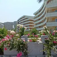فلت ۵۴ متر کرانه