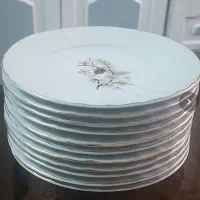 میوه خوری چینی