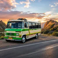 سرویس مینی بوس