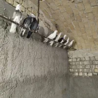 گرفتنی تیرماه