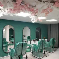 استخدام همکار حرفه ای در سالنی شلوغ و پر مشتری