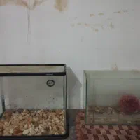 2 عدد آکواریوم و وسایل