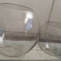 تنگ شیشه ای