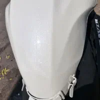 باک بنلی 300 جفت