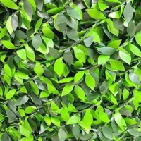 چمن مصنوعی  و دیوار سبز و سایبان  استخرها(شید)|مصالح و تجهیزات ساختمان|دزفول, |دیوار