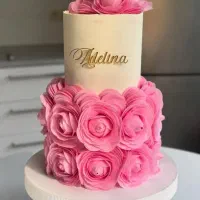 آموزشگاه کیک شیرینی باریستا آشپزی قنادی|خدمات آموزشی|تبریز, |دیوار