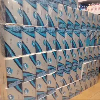 دستمال تنو 500برگ