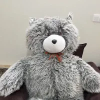 خرس عروسکی|اسباب‌‌بازی|قم, انسجام|دیوار