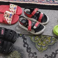 دنپای صندل