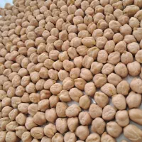 نخودممتاز دستچین فلافلی و آبگوشتی امسالی کرمانشاه|خوردنی و آشامیدنی|تهران, شوش|دیوار
