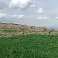 استخدام کارگر دائم