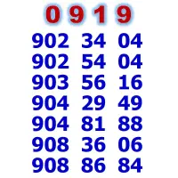 0919.902.54.04