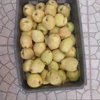 به تازه برای مربا