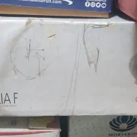 سرویس چینی