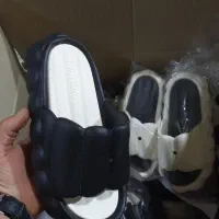 انواع مختلف دمپایی ها