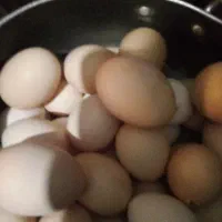 تخم مرغ محلی