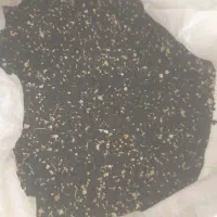 بذر پیاز