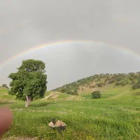 کاه گیاه خشک شده بهار