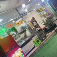 کار در بستنی فروشی