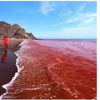 جزیره-هرمز-زمین-خودرو-گردشگری