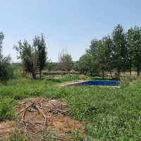 فروش ۱۰۰۰ متری در ده خیر جاده ورامین|فروش دفتر صنعتی، کشاورزی، تجاری|تهران, خاوران|دیوار