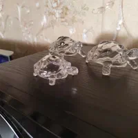 لاک پشت کریستال