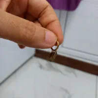 گوشواره گم شده