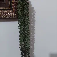 گلدان ، آویز غوره ، ماگ پیرکس