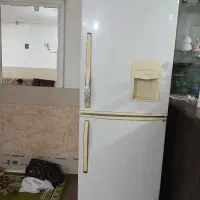 یخچال فریز دودر
