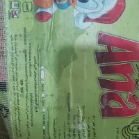 قالی ‌کودک طرح کیتی kitty|فرش|اهواز, زیتون کارگری|دیوار