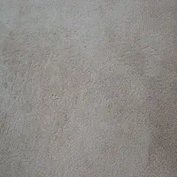 پالاز موکت|موکت|سقز, |دیوار