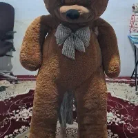 خرس بزرگ
