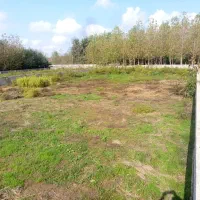 910مترباغچه-درنظام-آباد-کوچه-ایران-زمین