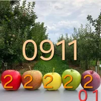 خط دائمی  بی نظیر  مختص پسر های غرب مازندران|سیم‌کارت|محمودآباد, |دیوار