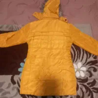 کاپشن|لباس|نهاوند, |دیوار